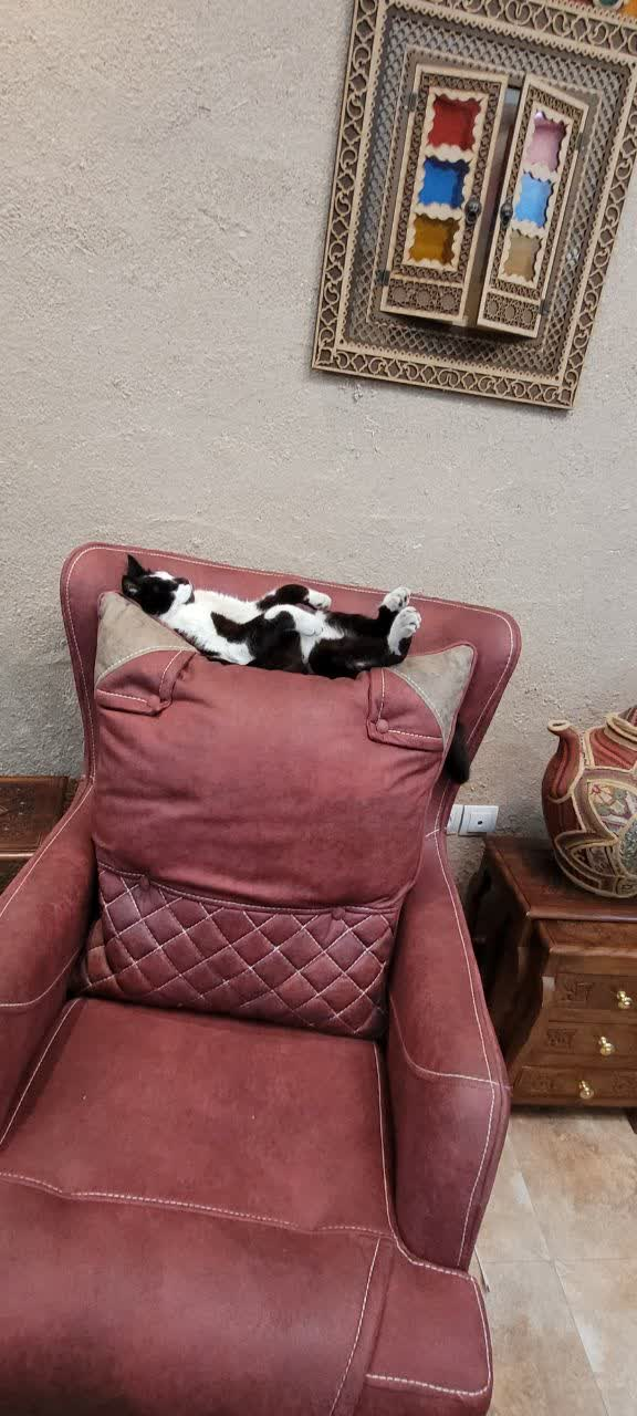 تست کمپین جدید خیریه ۲